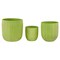 Napa Home & Garden Set of 3 Green and Gold Ribbed Planter 6.25"